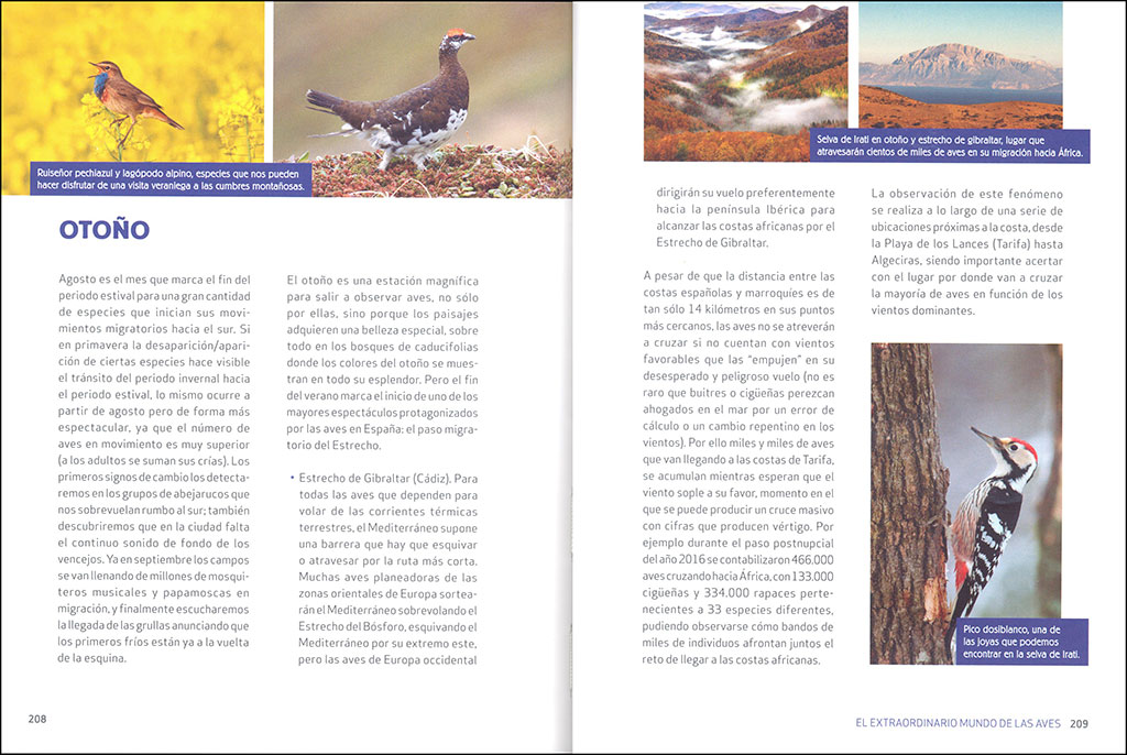 EL EXTRAORDINARIO MUNDO DE LAS AVES 4