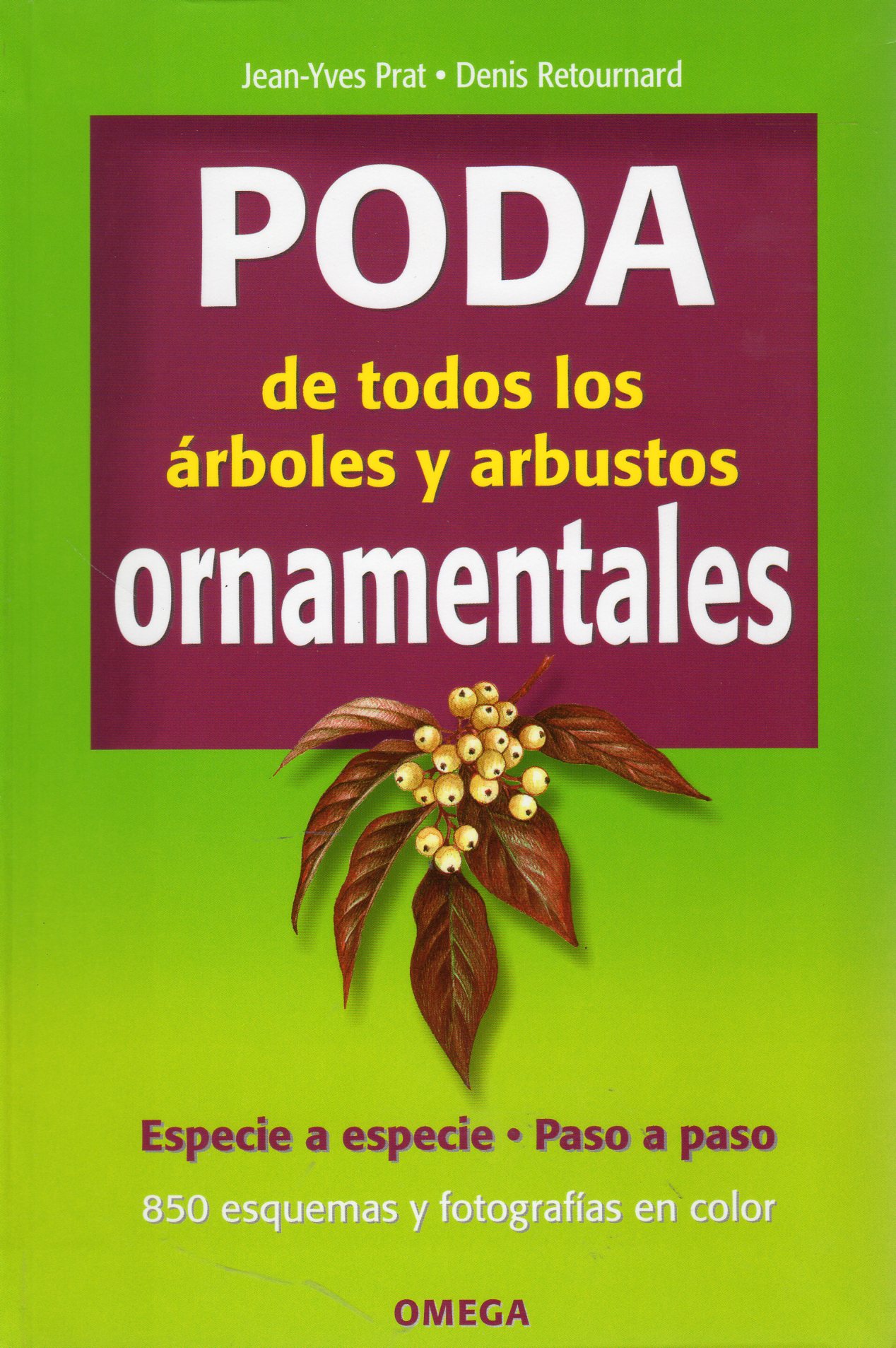 PODA DE TODOS LOS ÁRBOLES Y ARBUSTOS ORNAMENTALES 1