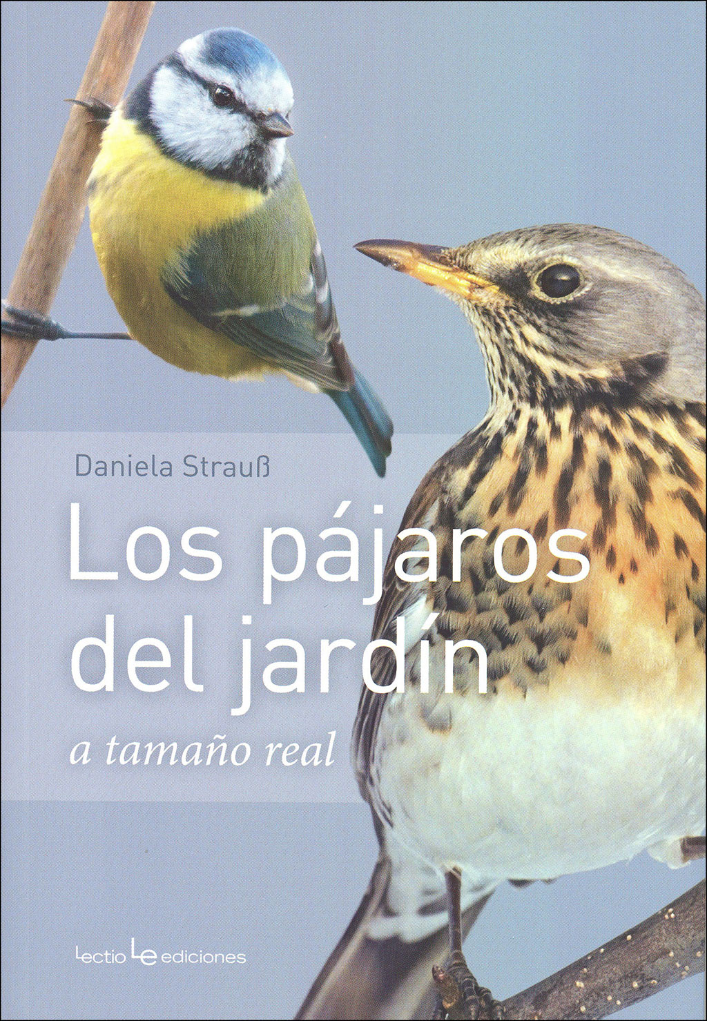 LOS PÁJAROS DEL JARDÍN A TAMAÑO REAL