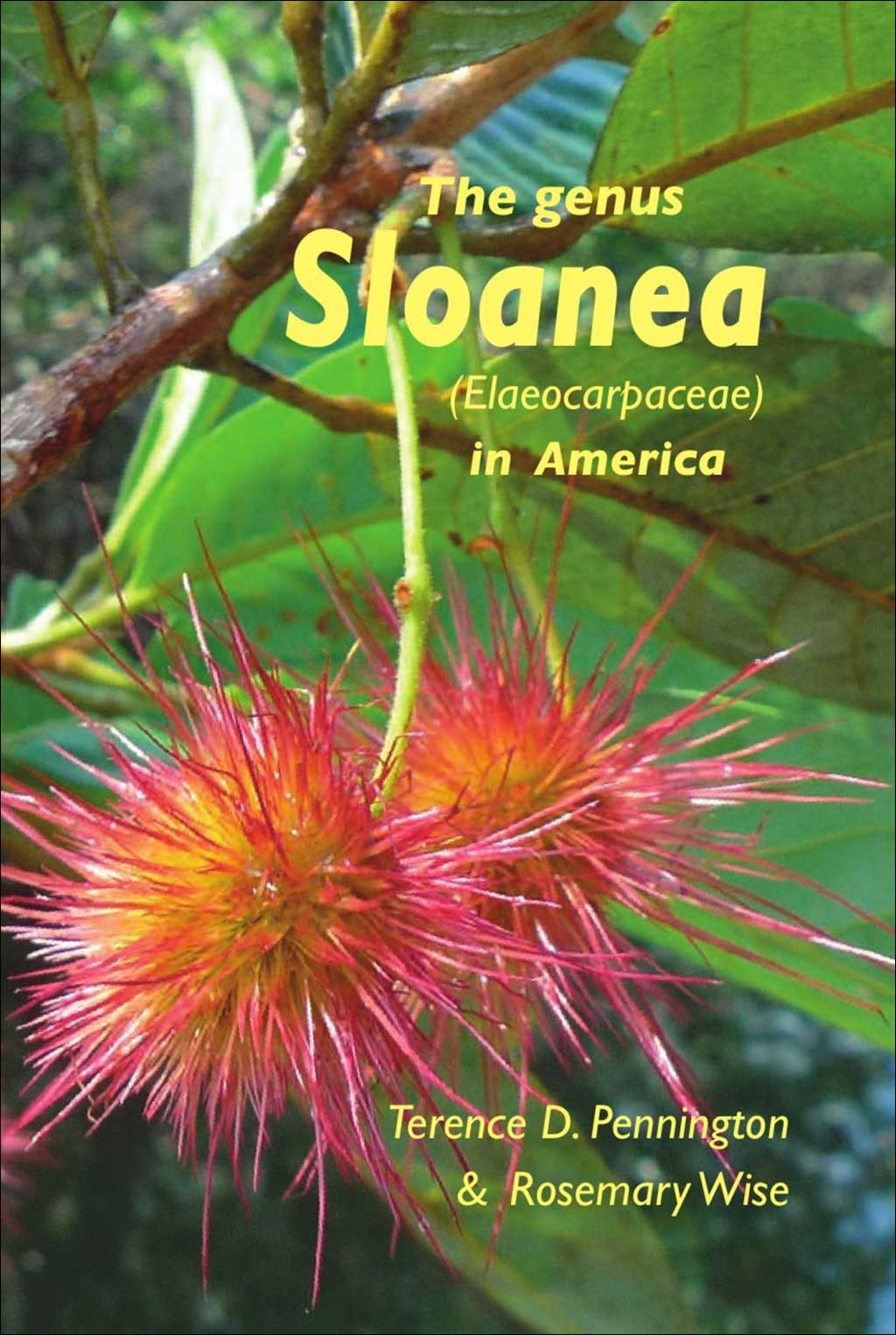 THE GENUS SLOANEA (ELAEOCARPACEAE) IN AMERICA