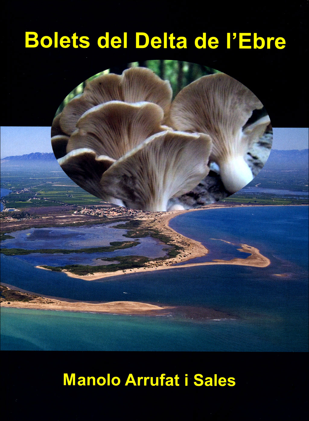 BOLETS DEL DELTA DE L'EBRE 1