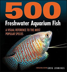 500 FRESHWATER AQUARIUM FISH