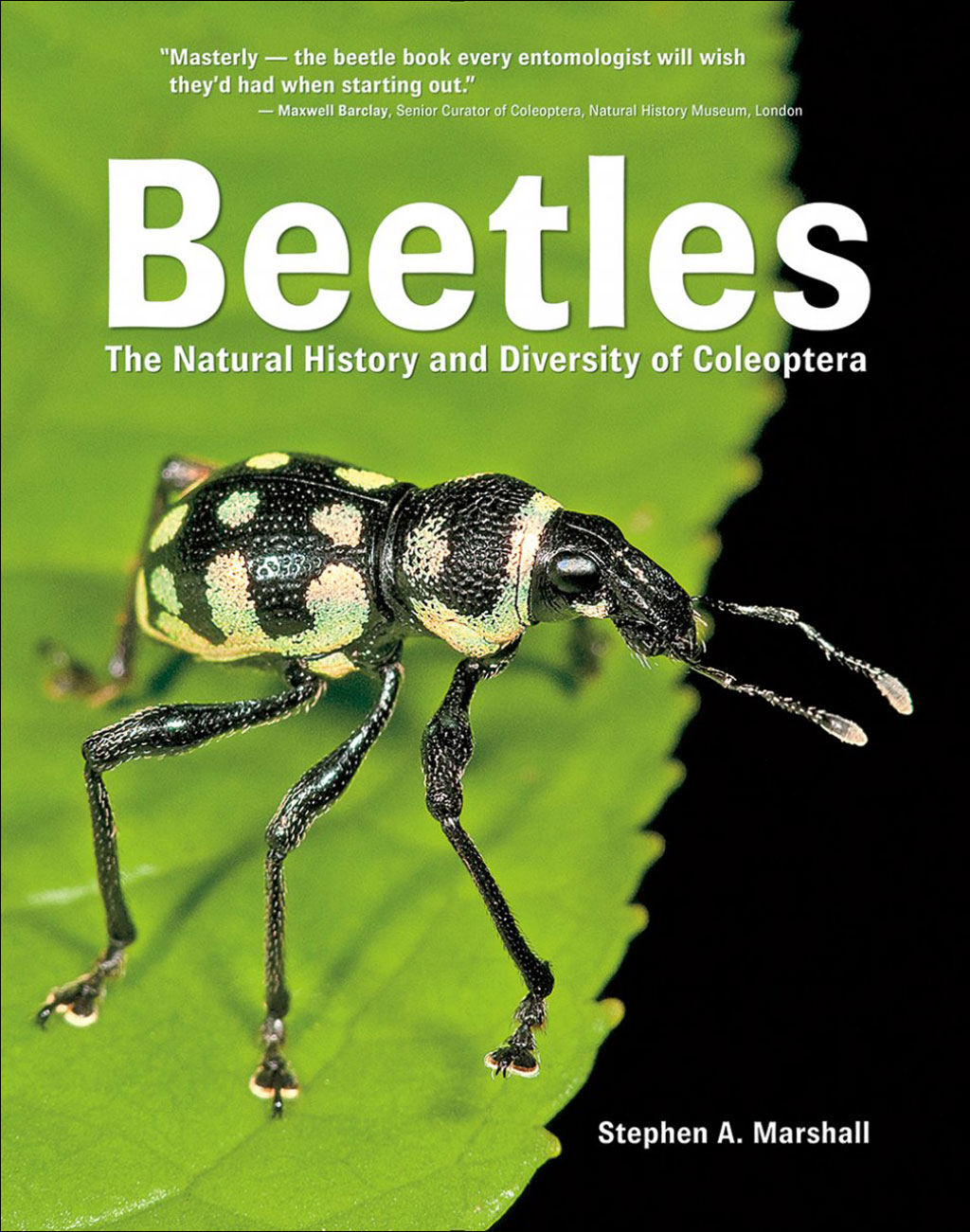BEETLES: THE NATURAL HISTORY AND DIVERSITY OF COLEOPTERA
