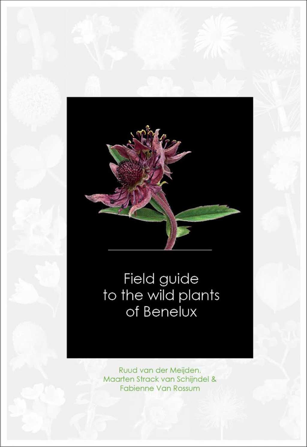 FIELD GUIDE TO THE WILD PLANTS OF BENELUX 1