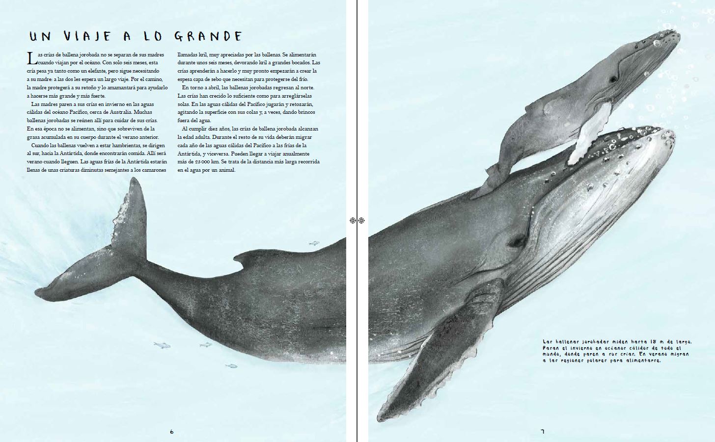 MIGRACIONES. LOS INCREÍBLES VIAJES DE LOS ANIMALES 3