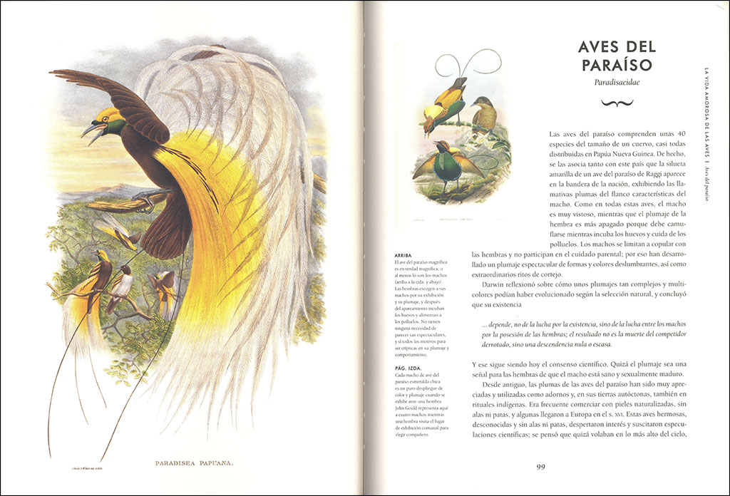 AVES EXTRAORDINARIAS 2