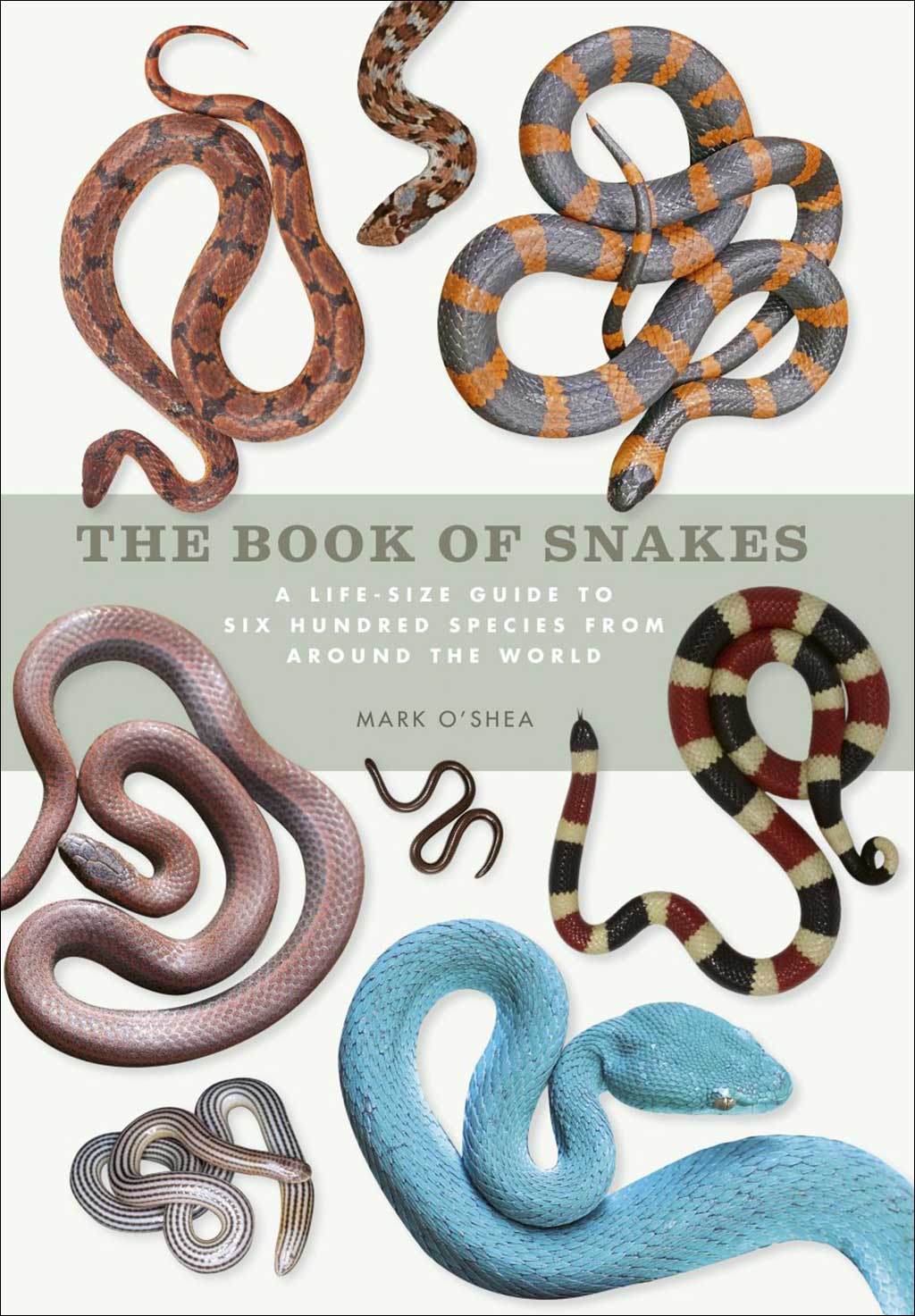 THE BOOK OF SNAKES. A LIFE-SIZE GUIDE TO SIX HUNDRED SPECIES FROM AROUND THEWORLD 1