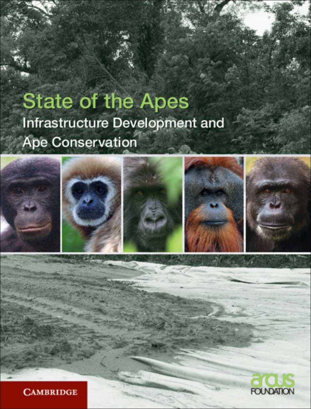 INFRASTRUCTURE DEVELOPMENT AND APE CONSERVATION
