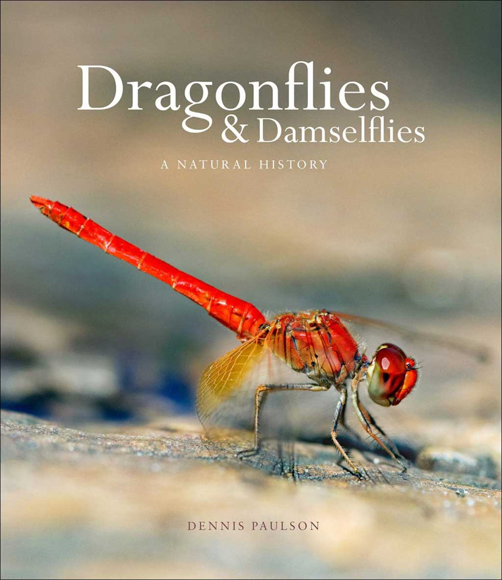 DRAGONFLIES & DAMSELFIES: A NATURAL HISTORY