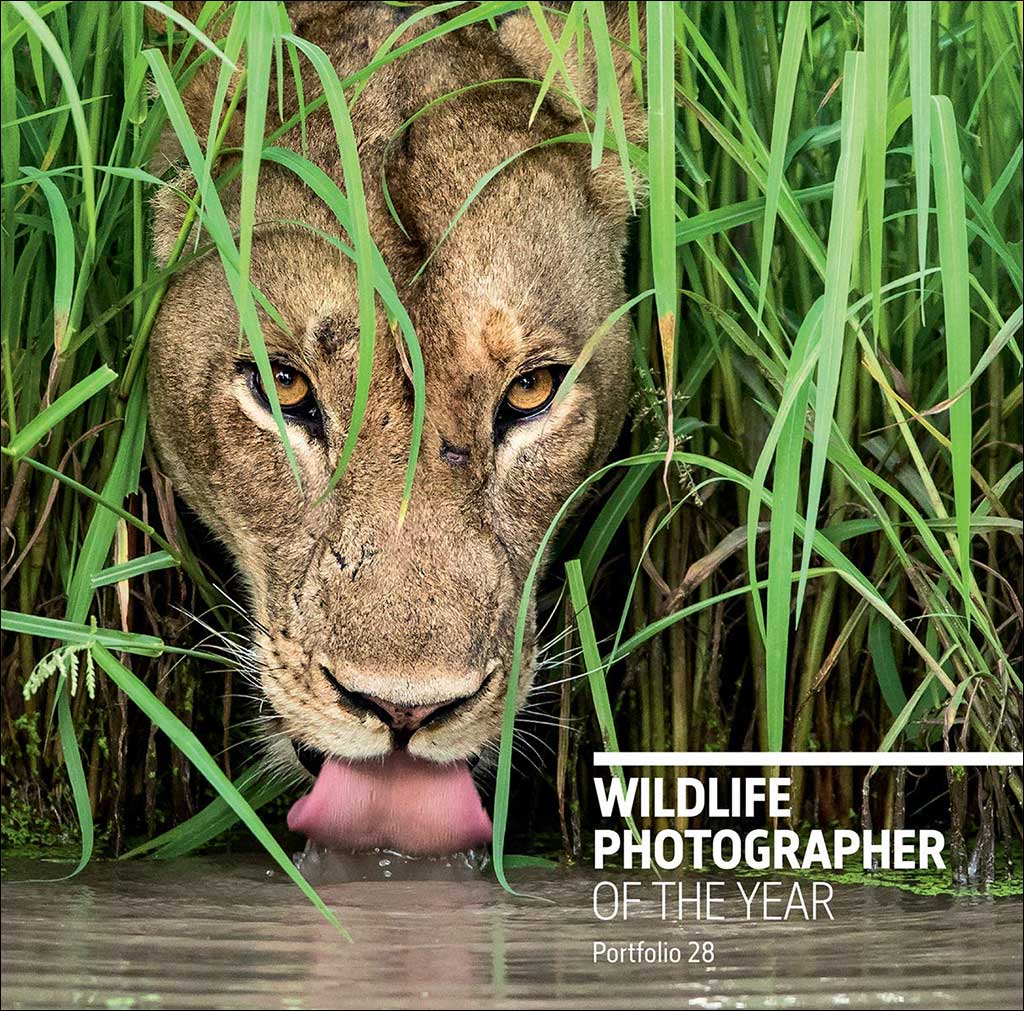 WILDLIFE PHOTOGRAPHER OF THE YEAR. PORTFOLIO 28