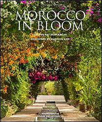 MOROCCO IN BLOOM 1