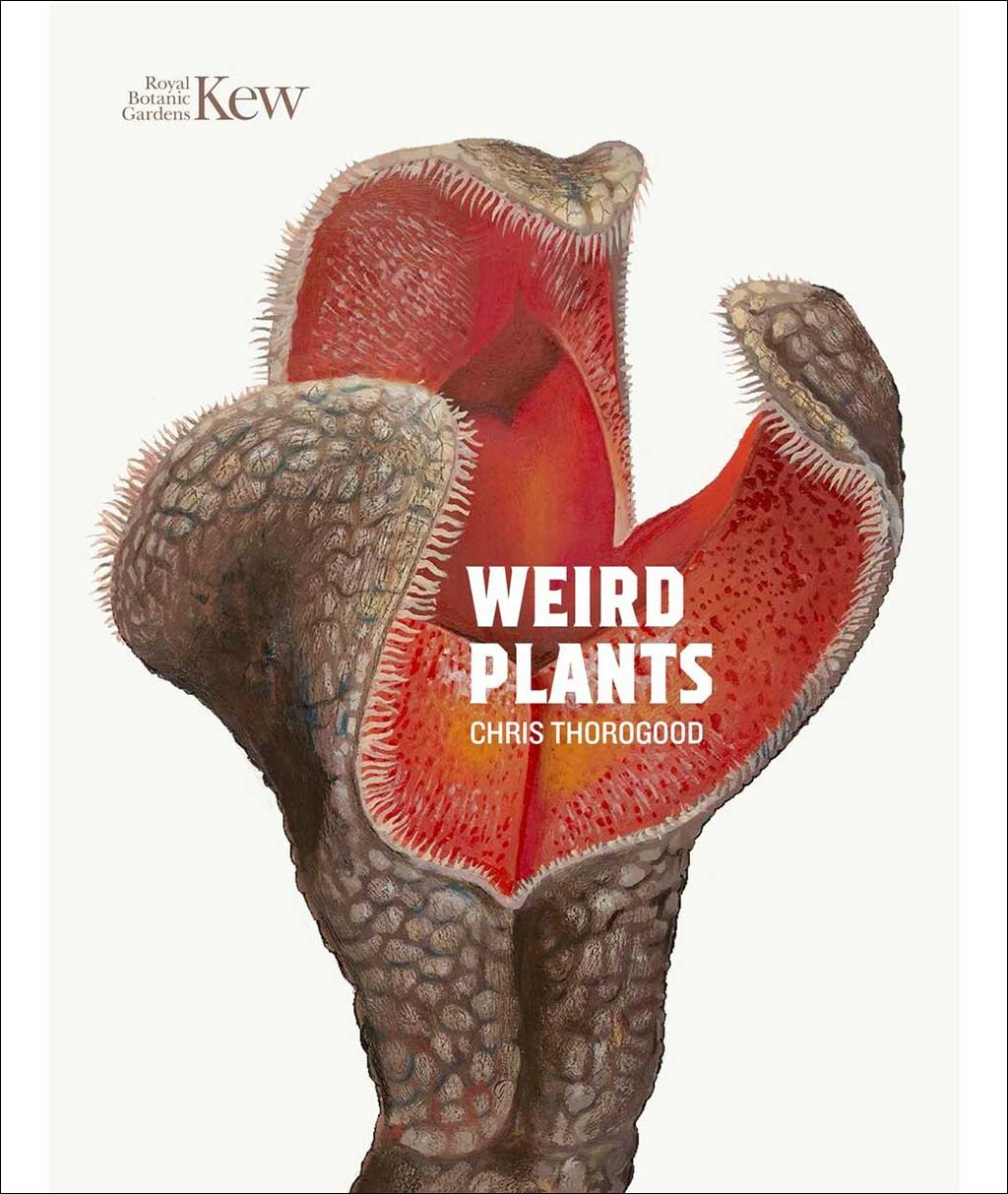 WEIRD PLANTS 1