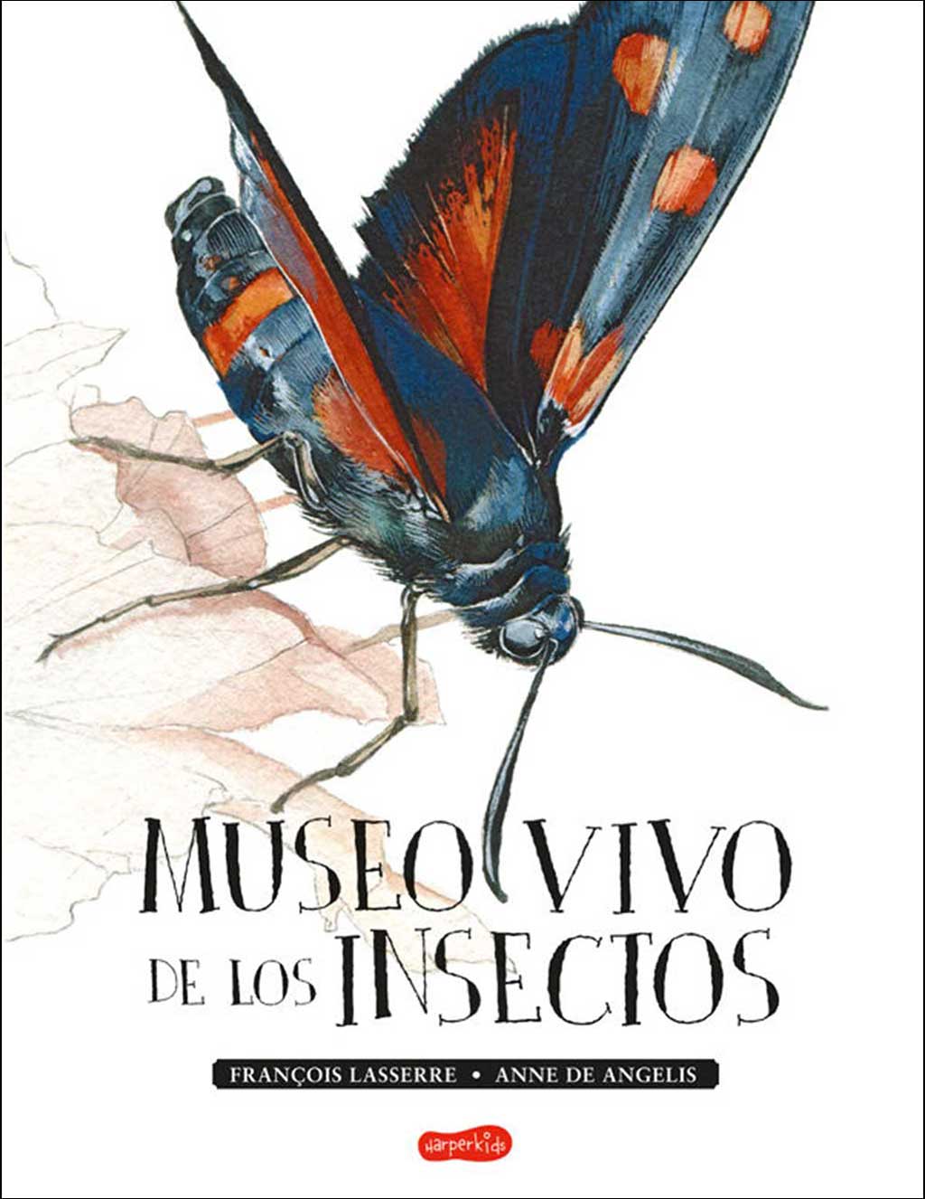MUSEO VIVO DE LOS INSECTOS 1