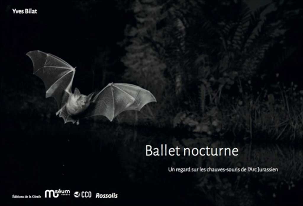 BALLET NOCTURNE. UN REGARD SUR LES CHAUVES- SOURIS DE L'ARC JURASSIEN