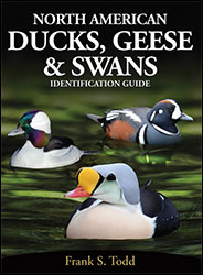 NORTH AMERICAN DUCKS, GEESE & SWANS: IDENTIFICATION GUIDE 2