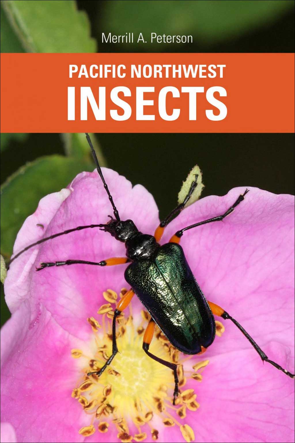 PACIFIC NORTHWEST INSECTS