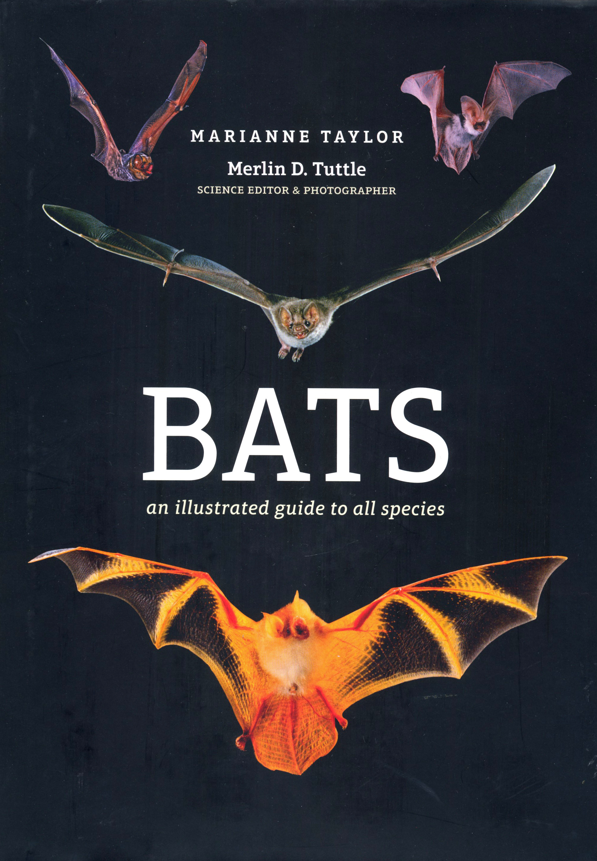 BATS: AN ILLUSTRATED GUIDE TO ALL SPECIES