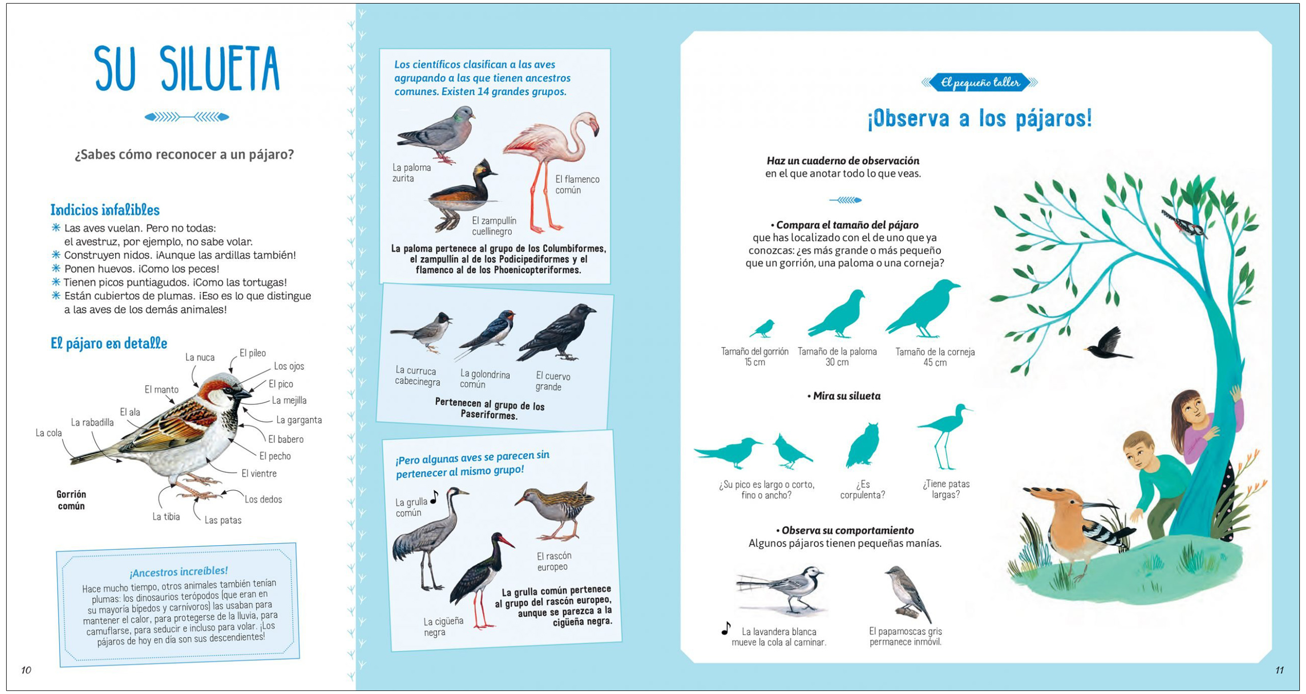 EL LIBRO DE LOS PÁJAROS 2