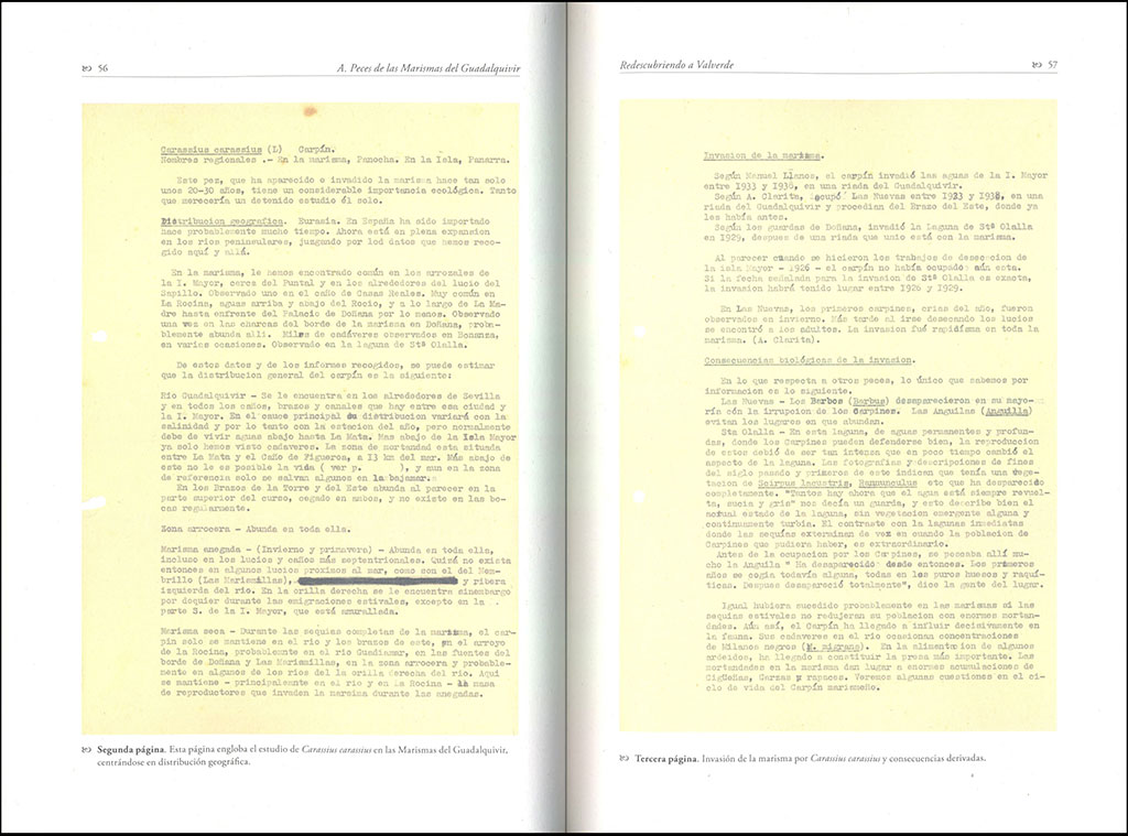 REDESCUBRIENDO A VALVERDE. DOCUMENTOS INÉDITOS DEL FUNDADOR DE DOÑANA 3