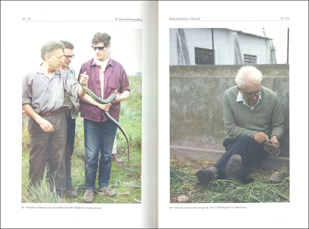 REDESCUBRIENDO A VALVERDE. DOCUMENTOS INÉDITOS DEL FUNDADOR DE DOÑANA 4