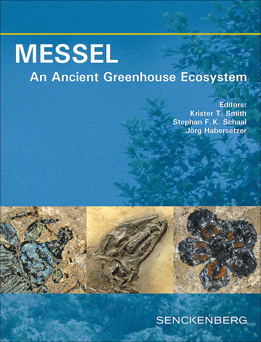 MESSEL: AN ANCIENT GREENHOUSE ECOSYSTEM 1