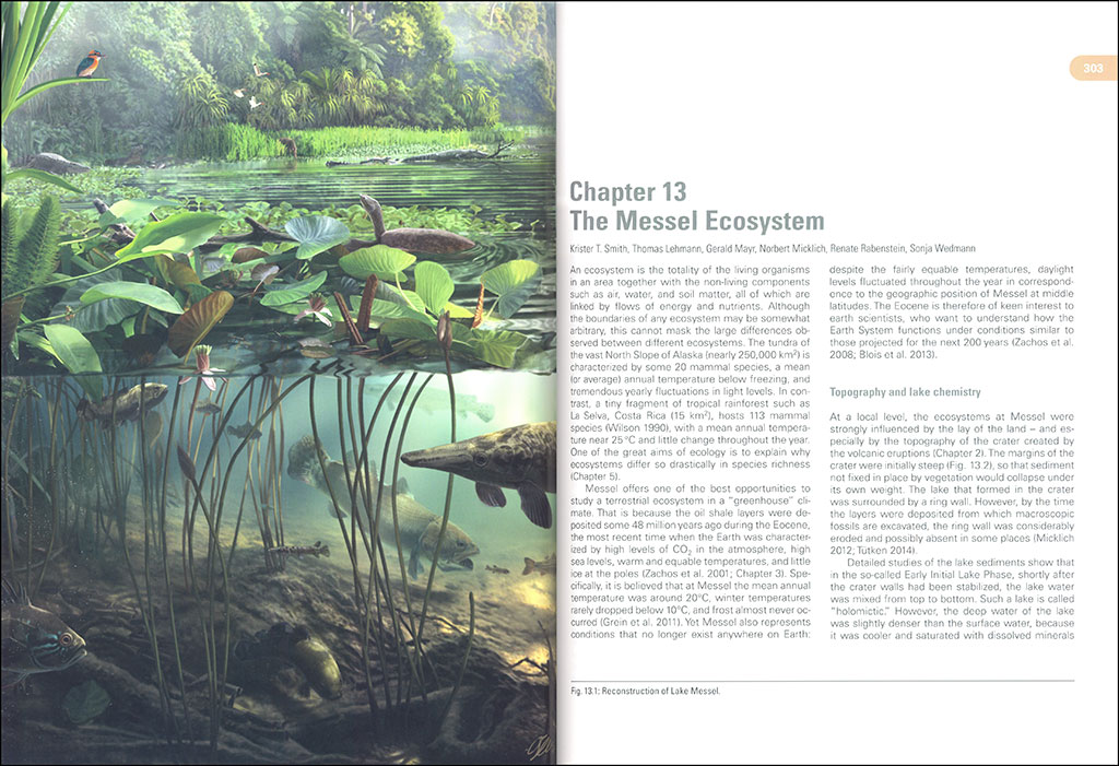 MESSEL: AN ANCIENT GREENHOUSE ECOSYSTEM 3