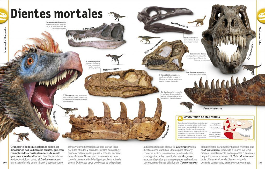 EL LIBRO DE LOS DINOSAURIOS 3