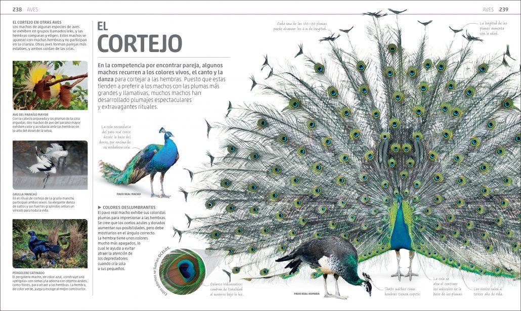 SECRETOS DE LA NATURALEZA 3