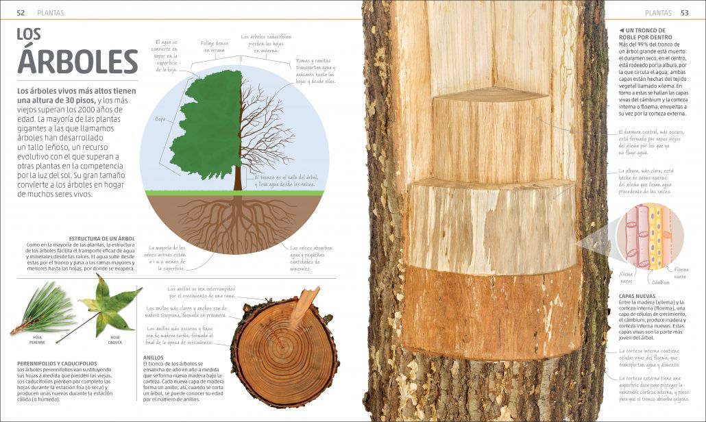 SECRETOS DE LA NATURALEZA 4