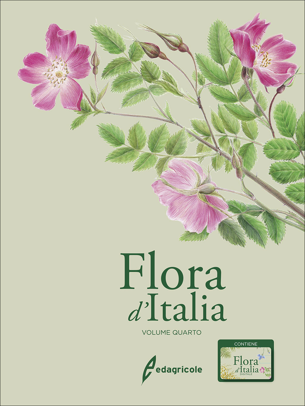 FLORA D'ITALIA. VOLUME QUARTO