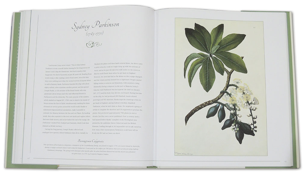 BOTANICAL ART. FROM RENAISSANCE HERBARIA TO THE 19TH CENTURY 2