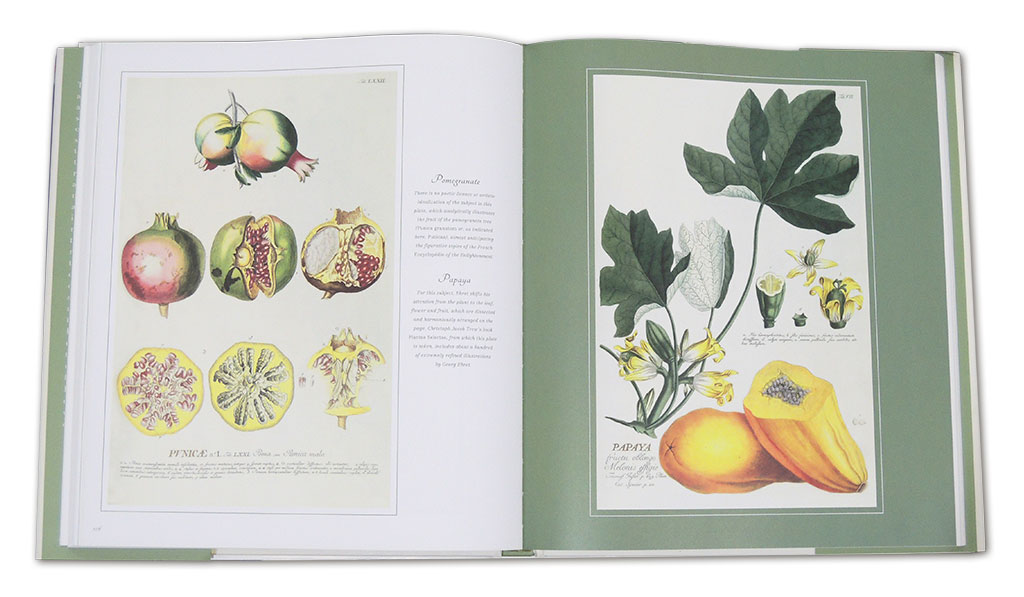 BOTANICAL ART. FROM RENAISSANCE HERBARIA TO THE 19TH CENTURY 3