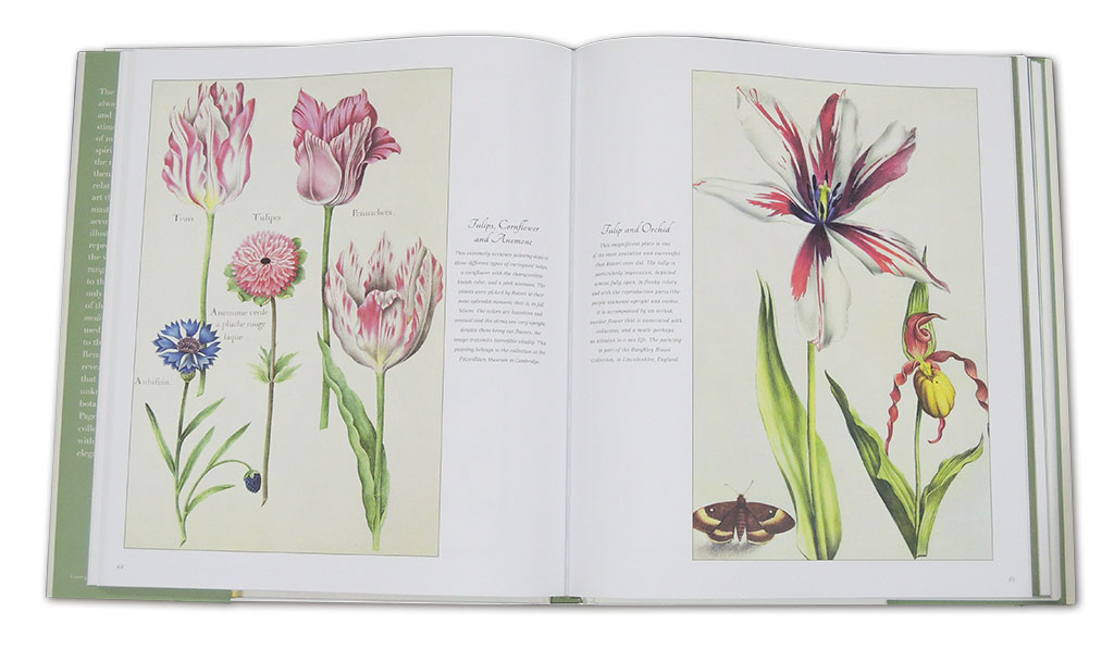 BOTANICAL ART. FROM RENAISSANCE HERBARIA TO THE 19TH CENTURY 4
