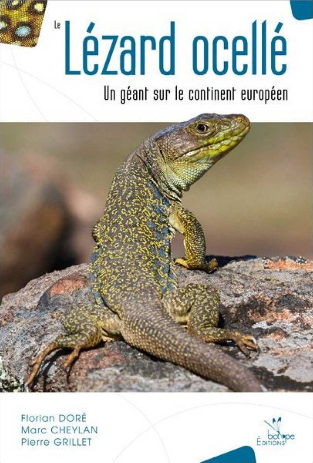 LE LÉZARD OCELLÉ. UN GÉANT SUR LE CONTINENT EUROPÉEN 1