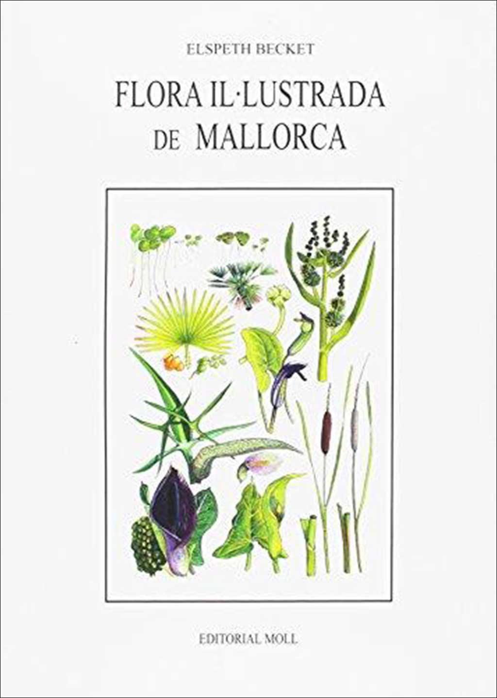 FLORA IL·LUSTRADA DE MALLORCA