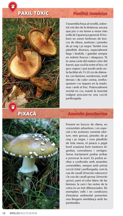 MONTSENY, BOLETS EN RUTA. GUIA + MAPA 1:35.000 2