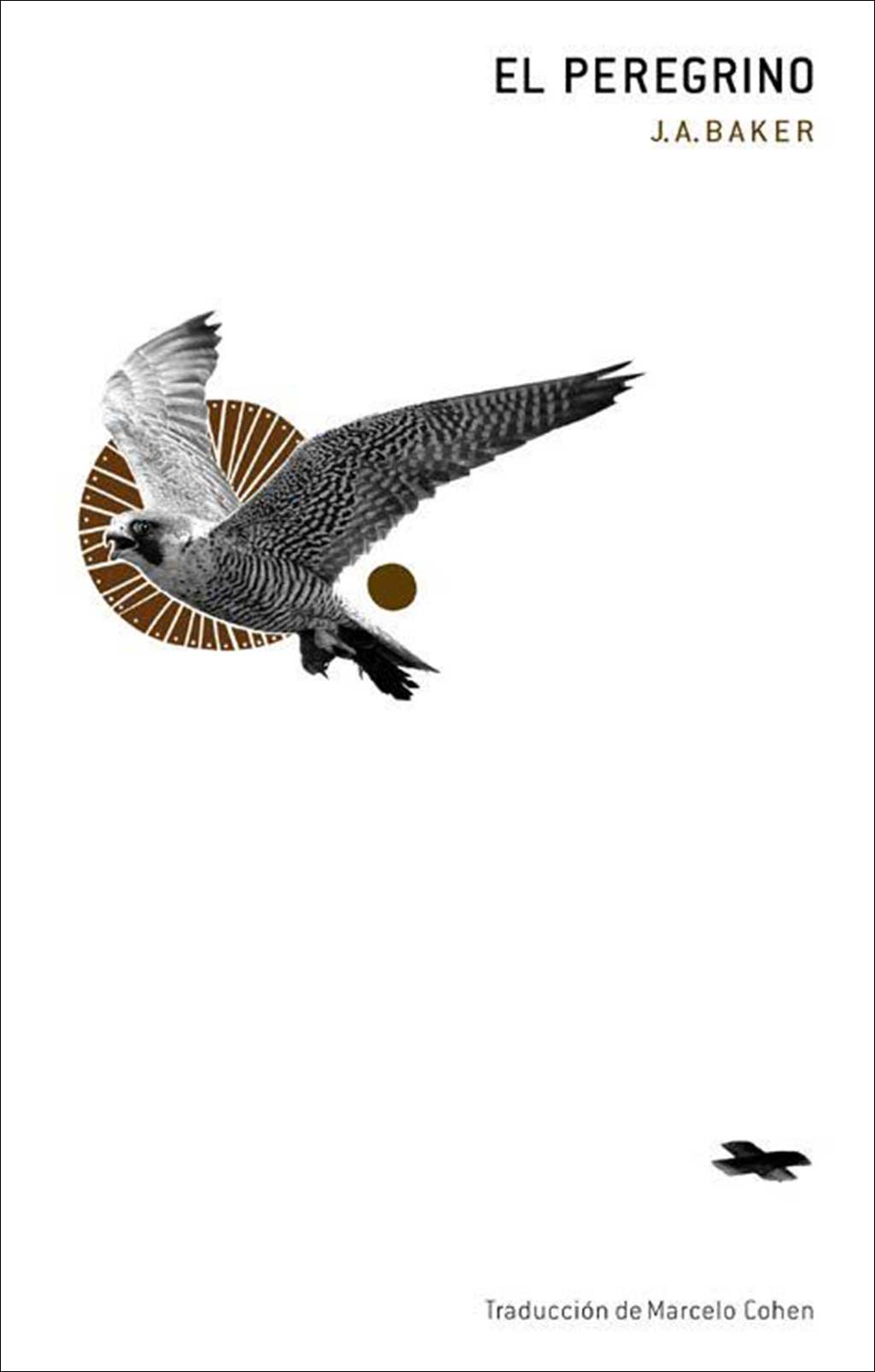 EL PEREGRINO                  1