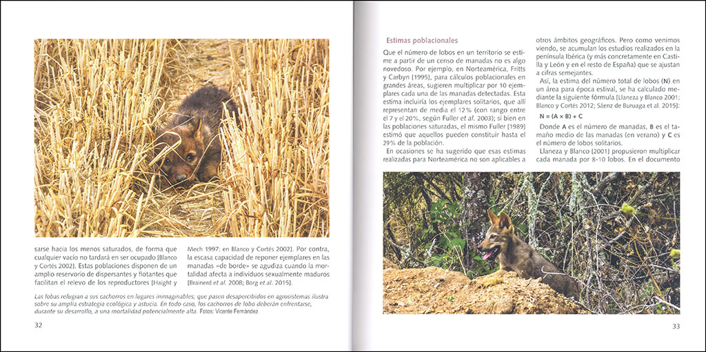 LOBOS. POBLACIÓN DE CASTILLA Y LEÓN. SITUACIÓN EN ESPAÑA 2