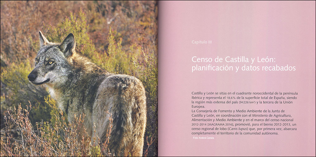 LOBOS. POBLACIÓN DE CASTILLA Y LEÓN. SITUACIÓN EN ESPAÑA 3