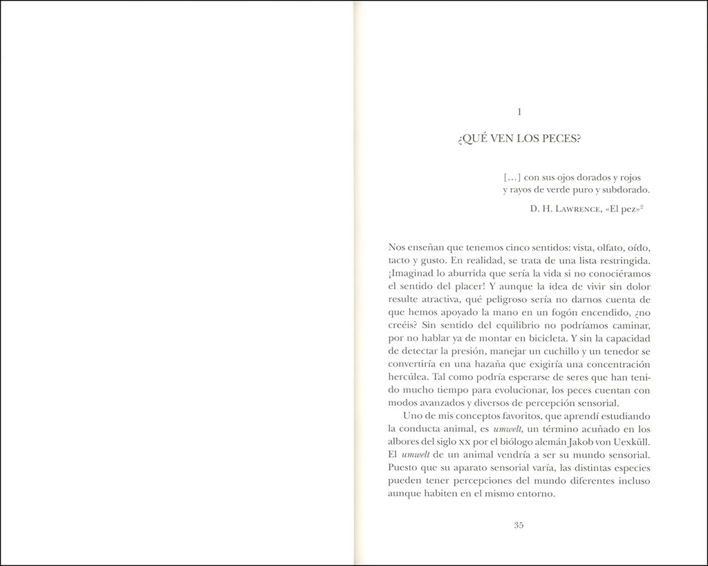 EL INGENIO DE LOS PECES 2