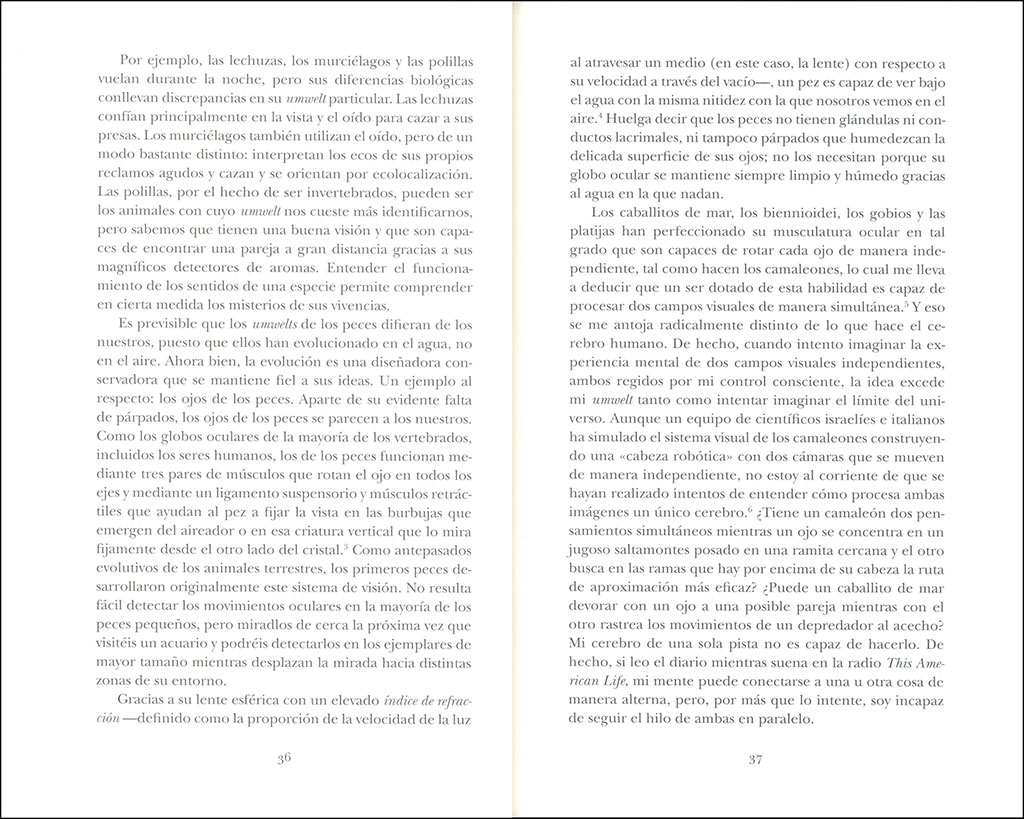 EL INGENIO DE LOS PECES 3