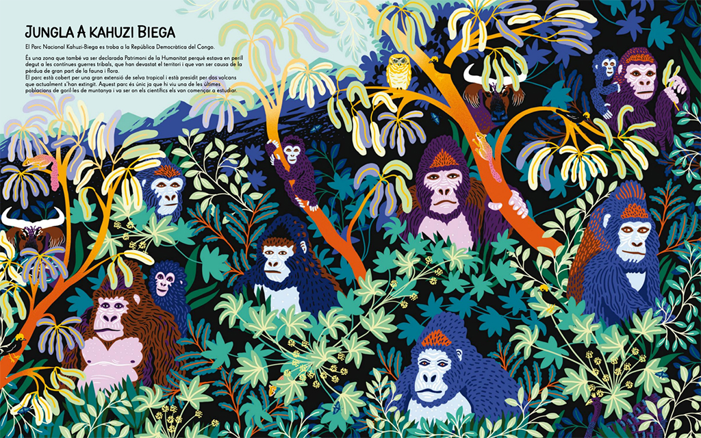 JUNGLES, SELVES BOSCOS I RESERVES NATURALS DE LA TERRA 2