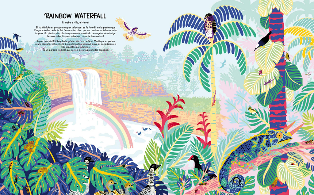JUNGLES, SELVES BOSCOS I RESERVES NATURALS DE LA TERRA 3