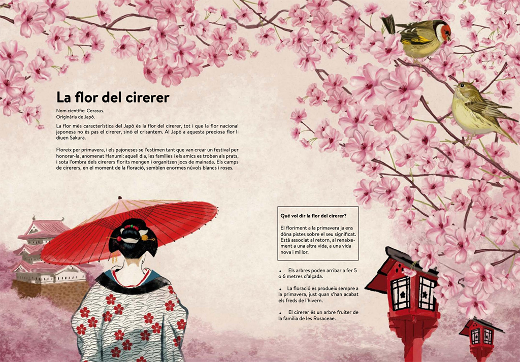 TERRITORI FLOR 2