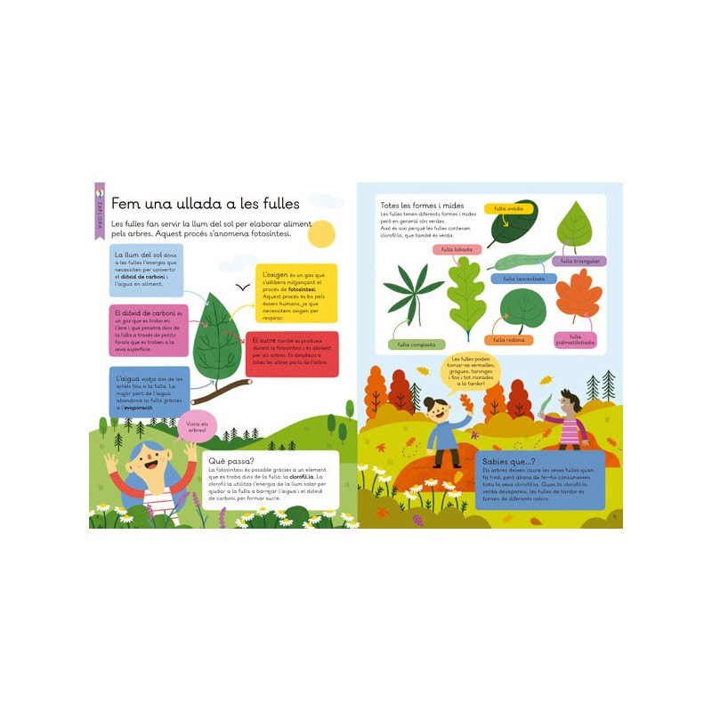 EL NOSTRE PLANETA. ARBRES. EXPLORA, INVESTIGA I CREA! 2