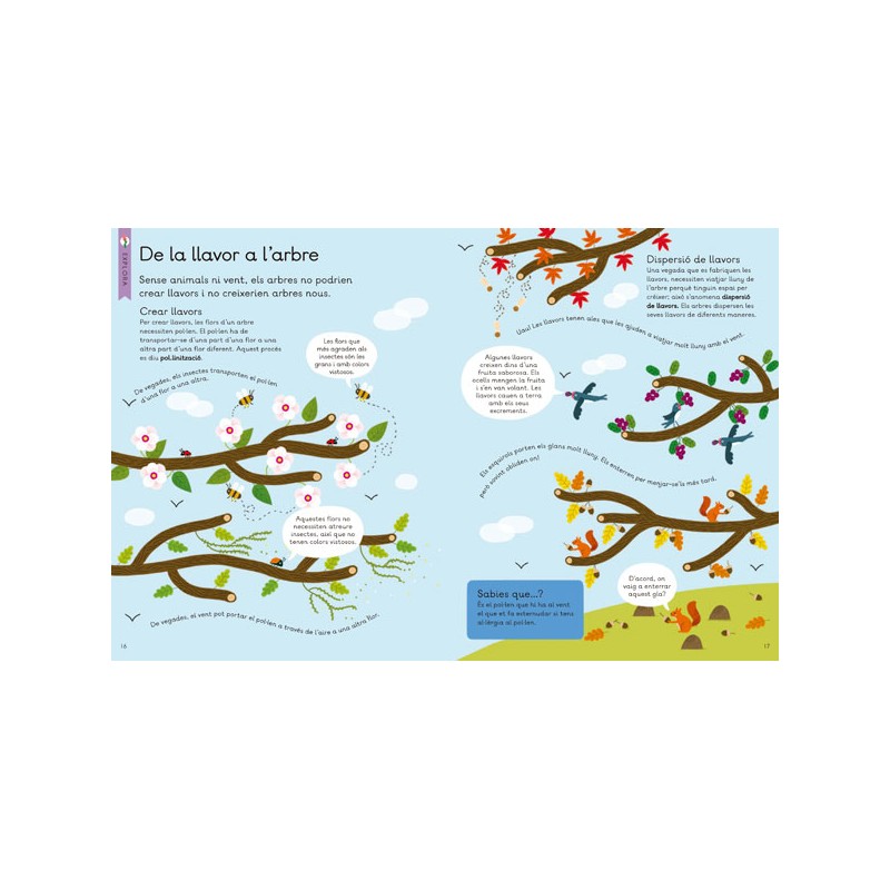 EL NOSTRE PLANETA. ARBRES. EXPLORA, INVESTIGA I CREA! 4