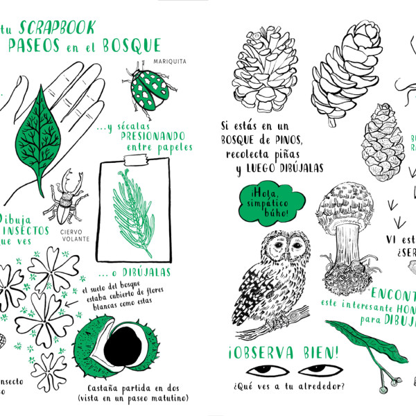 HOLA NATURA. SIEMBRA, CREA, DIBUJA Y COLOREA 3