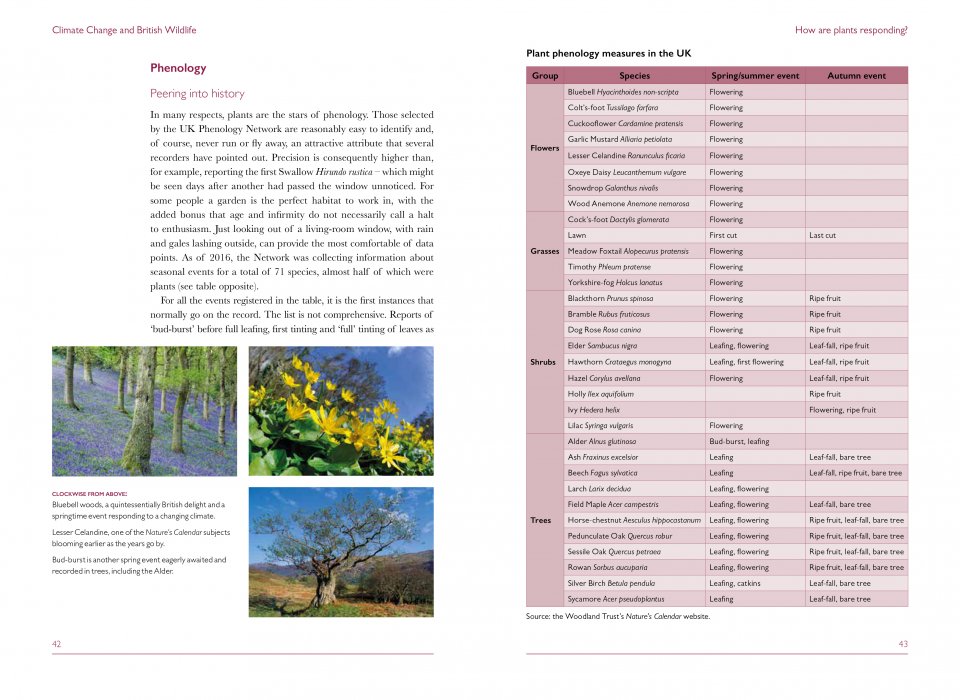 CLIMATE CHANGE AND BRITISH WILDLIFE 3
