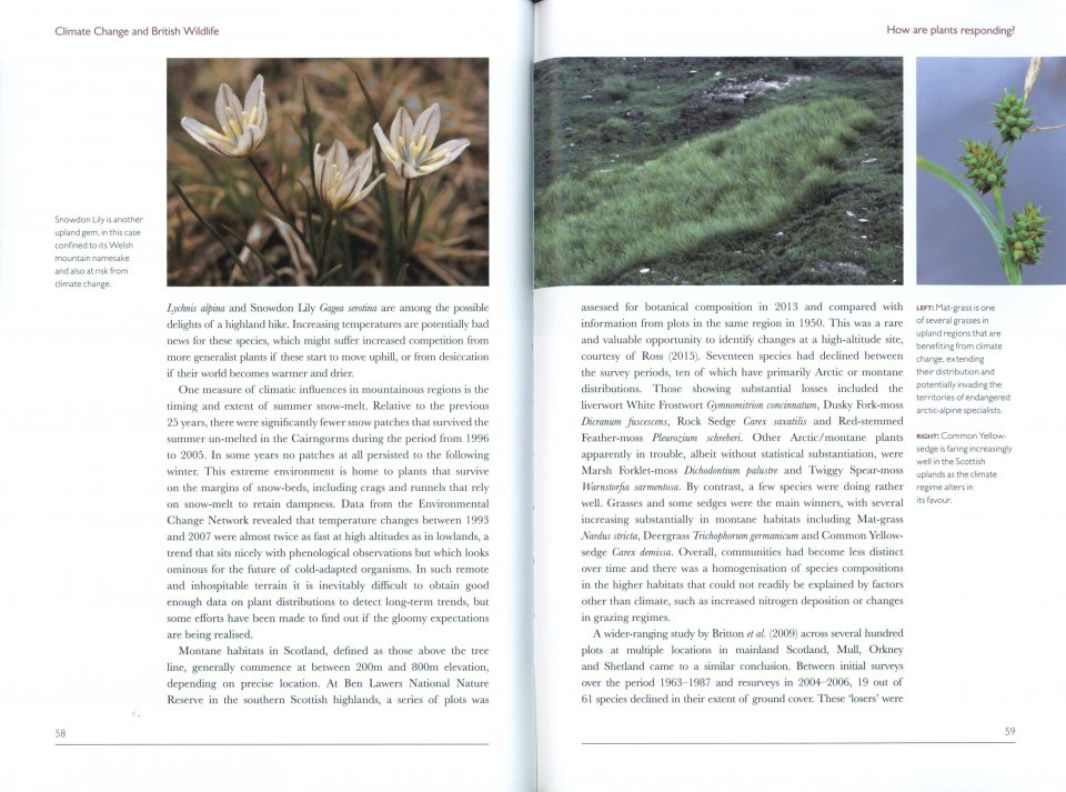 CLIMATE CHANGE AND BRITISH WILDLIFE 4