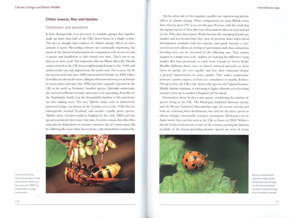 CLIMATE CHANGE AND BRITISH WILDLIFE 5